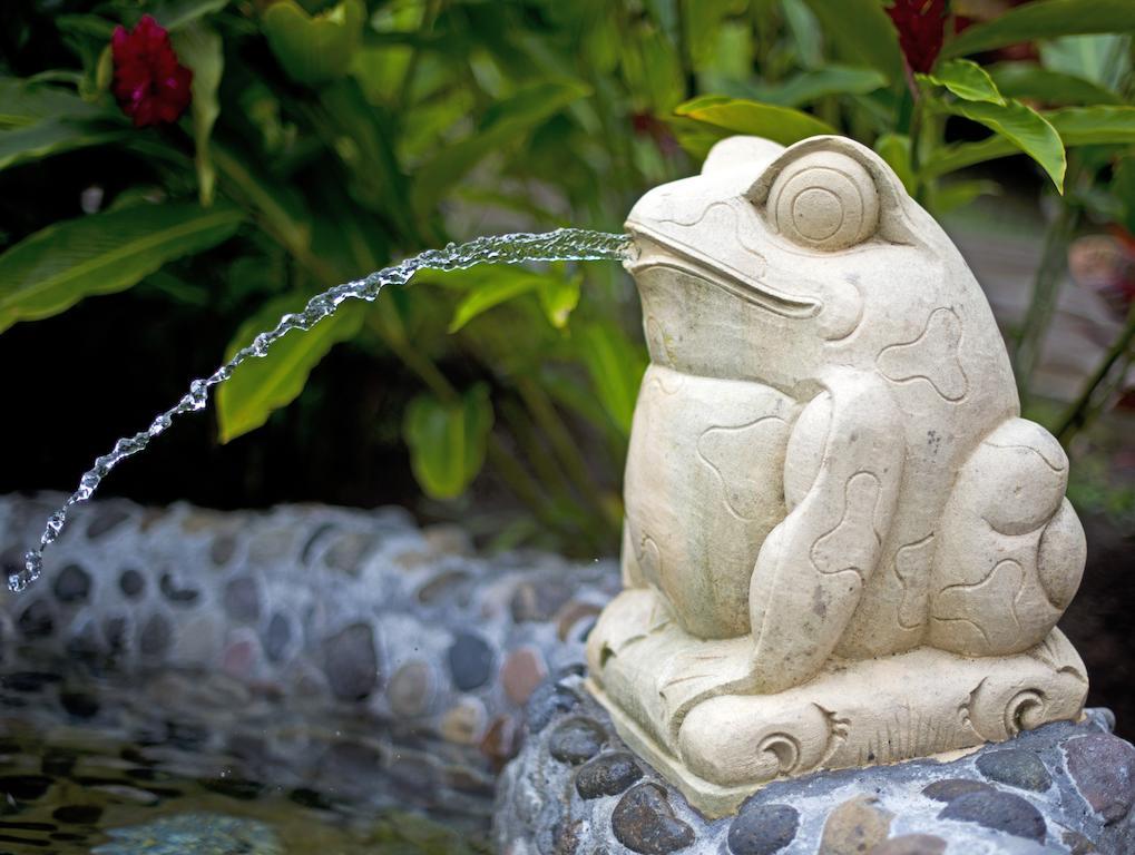 Nayara Springs - Adults Only Hotel La Fortuna Exterior foto