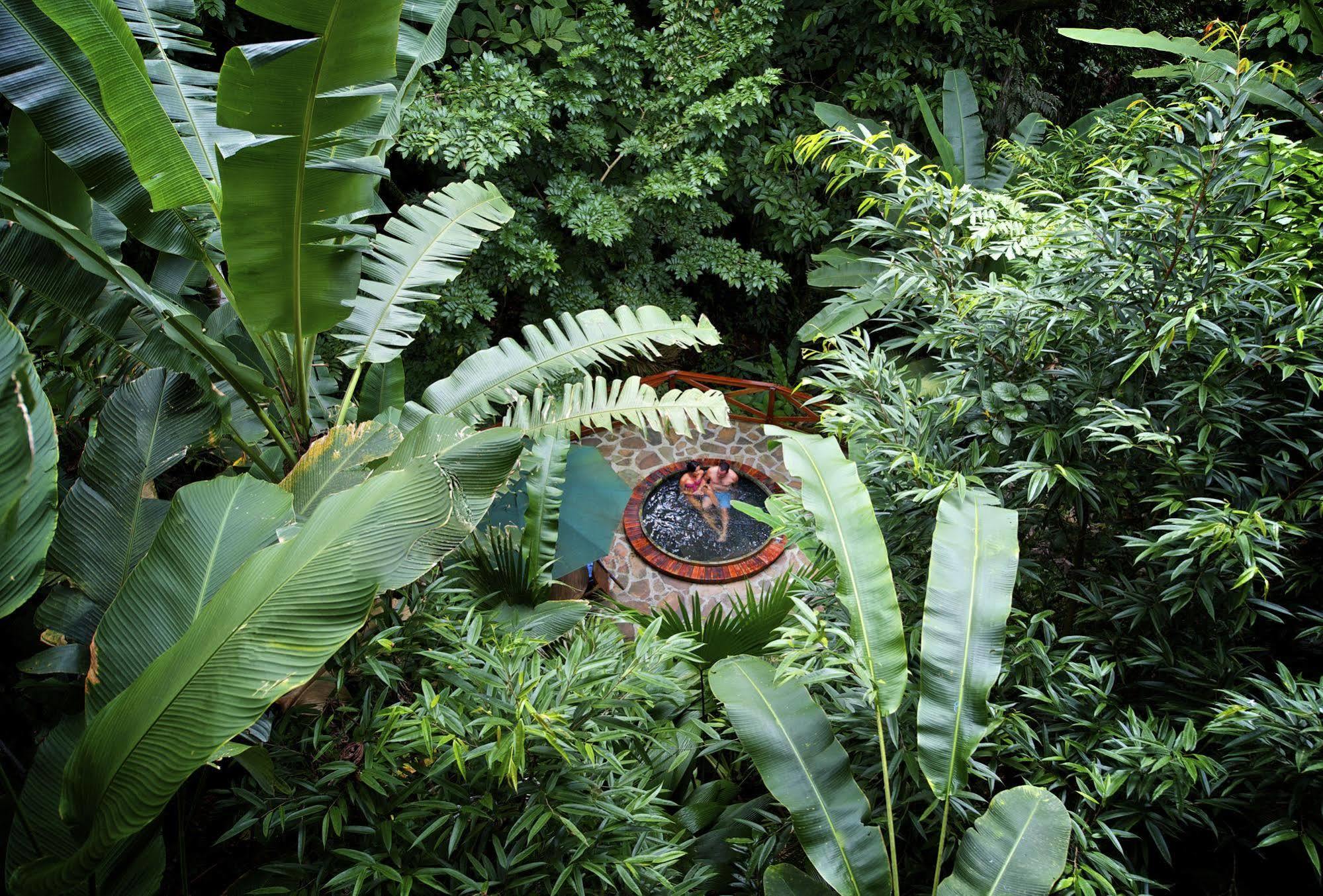 Nayara Springs - Adults Only Hotel La Fortuna Exterior foto